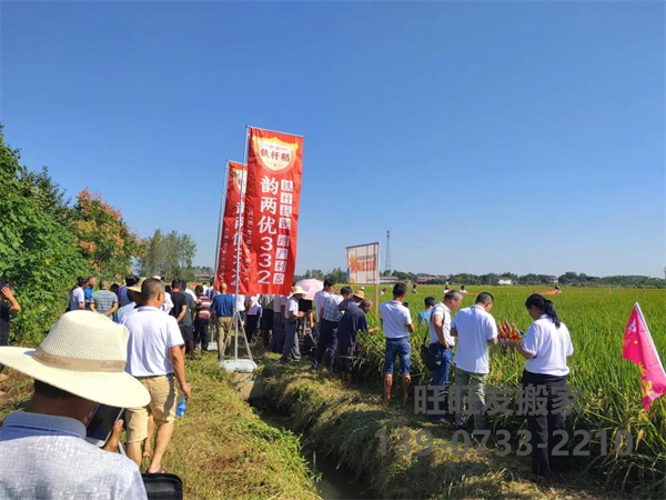 新興隆，新氣象，新未來(lái)——記興隆湖南韻兩優(yōu)332省級(jí)觀(guān)摩會(huì)在常德漢壽圓滿(mǎn)召開(kāi)