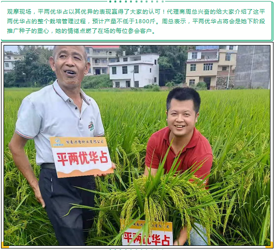 湖南興隆種業有限公司,長沙稻谷種植與銷售,長沙農作物品種的選育,長沙農業病蟲害防治服務