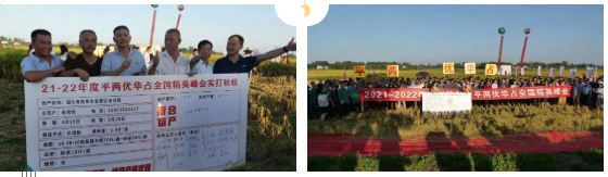 湖南興隆種業有限公司,長沙稻谷種植與銷售,長沙農作物品種的選育,長沙農業病蟲害防治服務