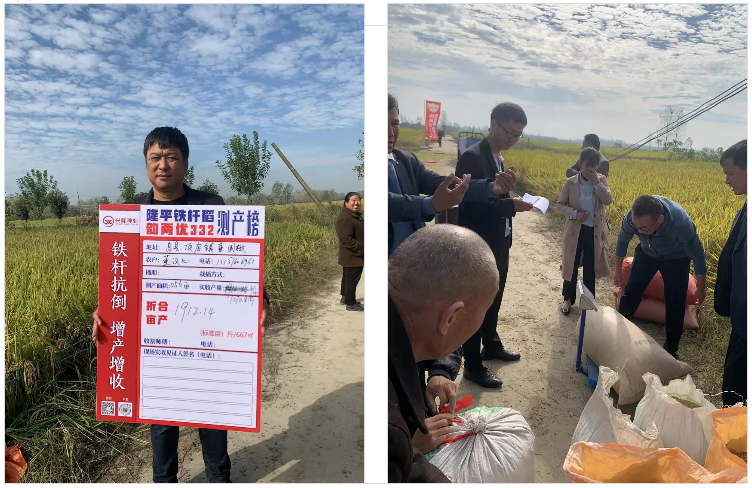 湖南興隆種業有限公司,長沙稻谷種植與銷售,長沙農作物品種的選育,長沙農業病蟲害防治服務