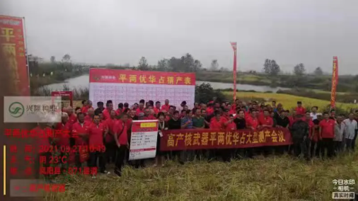 湖南興隆種業有限公司,長沙稻谷種植與銷售,長沙農作物品種的選育,長沙農業病蟲害防治服務
