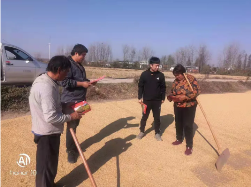 湖南興隆種業有限公司,長沙稻谷種植與銷售,長沙農作物品種的選育,長沙農業病蟲害防治服務 湖南興隆種業有限公司,長沙稻谷種植與銷售,長沙農作物品種的選育,長沙農業病蟲害防治服務