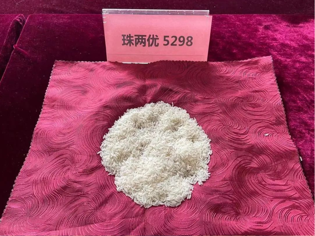 湖南興隆種業(yè)有限公司,長沙稻谷種植與銷售,長沙農作物品種的選育,長沙農業(yè)病蟲害防治服務
