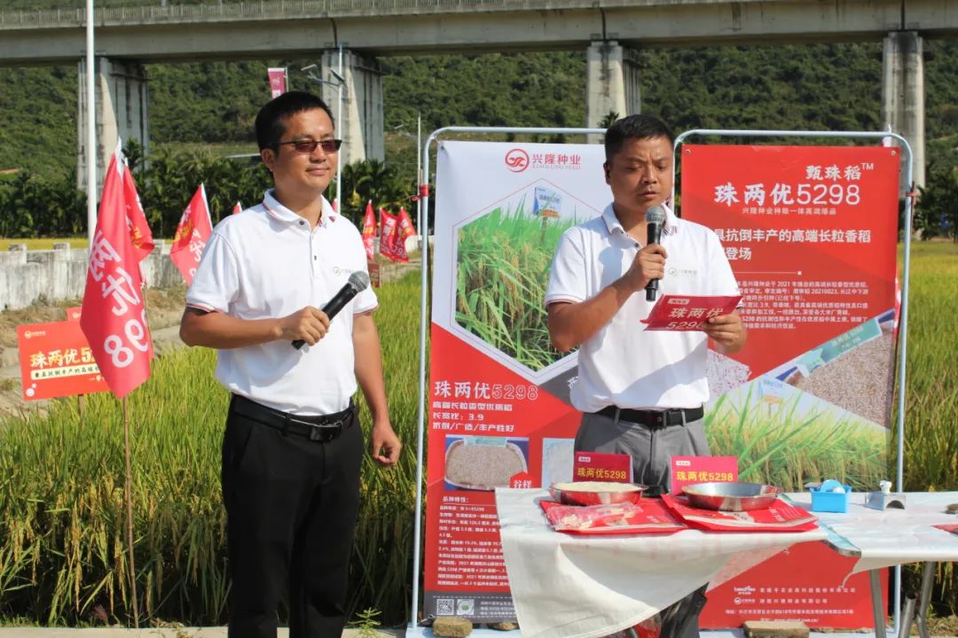 湖南興隆種業有限公司,長沙稻谷種植與銷售,長沙農作物品種的選育,長沙農業病蟲害防治服務