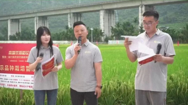 湖南興隆種業有限公司,長沙稻谷種植與銷售,長沙農作物品種的選育,長沙農業病蟲害防治服務