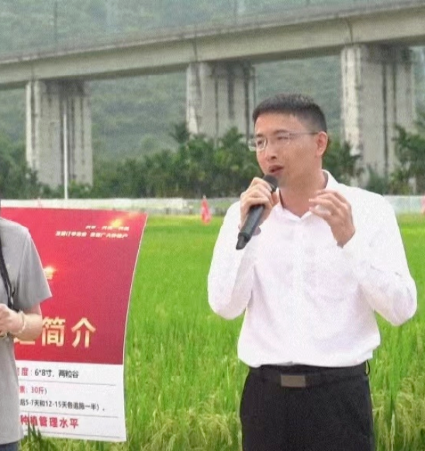 湖南興隆種業有限公司,長沙稻谷種植與銷售,長沙農作物品種的選育,長沙農業病蟲害防治服務