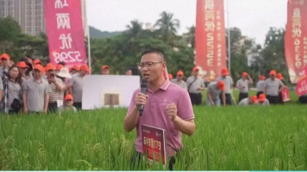 湖南興隆種業有限公司,長沙稻谷種植與銷售,長沙農作物品種的選育,長沙農業病蟲害防治服務