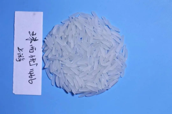 湖南興隆種業有限公司,長沙稻谷種植與銷售,長沙農作物品種的選育,長沙農業病蟲害防治服務