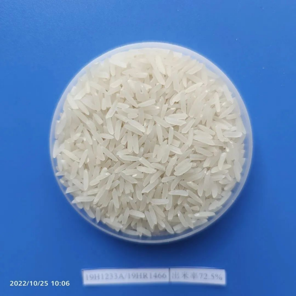 湖南興隆種業有限公司,長沙稻谷種植與銷售,長沙農作物品種的選育,長沙農業病蟲害防治服務