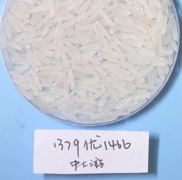 湖南興隆種業有限公司,長沙稻谷種植與銷售,長沙農作物品種的選育,長沙農業病蟲害防治服務