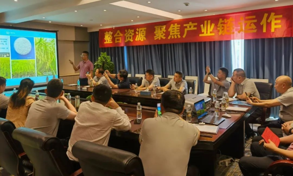 湖南興隆種業有限公司,長沙稻谷種植與銷售,長沙農作物品種的選育,長沙農業病蟲害防治服務