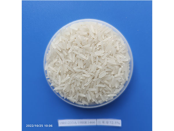湖南興隆種業有限公司,長沙稻谷種植與銷售,長沙農作物品種的選育,長沙農業病蟲害防治服務