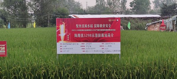 湖南興隆種業(yè)有限公司,長沙稻谷種植與銷售,長沙農(nóng)作物品種的選育,長沙農(nóng)業(yè)病蟲害防治服務(wù)