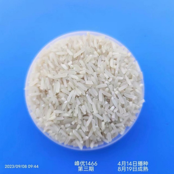 湖南興隆種業(yè)有限公司,長(zhǎng)沙稻谷種植與銷(xiāo)售,長(zhǎng)沙農(nóng)作物品種的選育,長(zhǎng)沙農(nóng)業(yè)病蟲(chóng)害防治服務(wù)