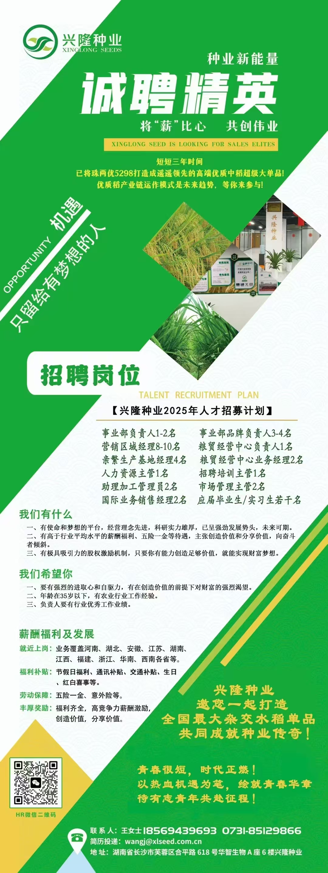 湖南興隆種業有限公司,長沙稻谷種植與銷售,長沙農作物品種的選育,長沙農業病蟲害防治服務